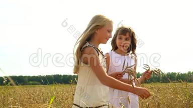 两个女孩走在俄罗斯的麦田上。穿着白色连衣裙的漂亮女孩手拿麦穗